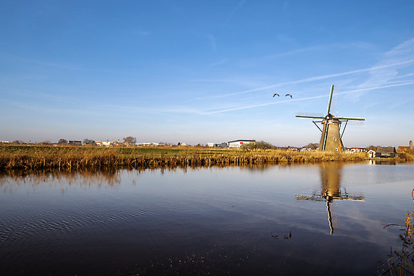 포토 JPG 해외이미지 전통 실루엣 여행 밭 농업 오렌지 자연 하늘 바람 풍경 사람없음 야외 여름 빛 강 컬러풀 태양 농장 노란색 일출 환경 힘 일몰 새벽 풍차 에너지 수확 시골 뜨거움 재산 저녁 땅 언덕 운하 장면 가뭄 펌프 방앗간 옛날 해외포토 자연요소 계절 산업 컬러 과일 날씨 촬영기법 금융 노을 야간 생태계 파일형식 이미지허브