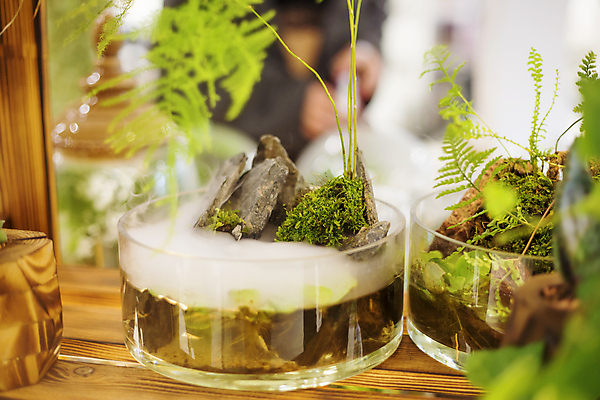 포토 JPG 해외이미지 식물 컨셉 잎 꽃무늬 자연 유리 선반 주택 선물 이끼 사람없음 장식 초록색 정원 꽃병 흙 성장 조약돌 오픈 원형 투명 사발 소프트포커스 작음 유기농 생태계 내추럴 구성 해외포토 도형 웰빙 꽃 컬러 가구 무늬 재질 촬영기법 건물 돌_바위 사기그릇 크기 파일형식 이미지허브