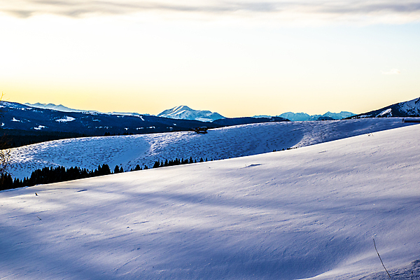 포토 JPG 해외이미지 나무 구름 계절 공원 여행 백그라운드 크리스마스 겨울 자연 하늘 휴가 산 파노라마 풍경 사람없음 야외 초록색 파란색 빛 환경 일몰 이탈리아 트래킹 하이킹 추위 흰색 시골 소나무 숲 알프스 머리위 장면 절정 눈내림 해외포토 자연요소 식물 공공시설 기념일 유럽 컬러 레저 눈_날씨 촬영기법 노을 생태계 파일형식 이미지허브