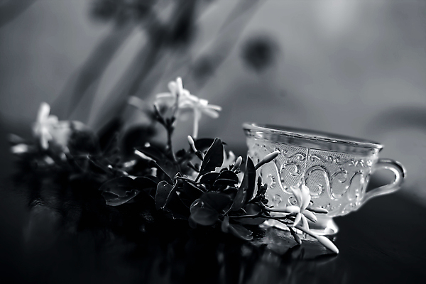 포토 JPG 해외이미지 식물 음료 음식 백그라운드 잎 자연 유리 탁자 아침 건강 사람없음 목재 컵 초록색 카페 머그컵 신선 뜨거움 도자기 액체 아침식사 약초 찻잔 인도인 허브 상쾌 유기농 아로마 해외포토 주간 외국인 나무 식기 웰빙 감정 컬러 가구 재료 재질 잔 동양인 상점 식사 풀_식물 생태계 파일형식 이미지허브