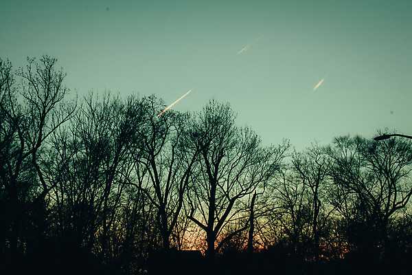 포토 JPG 해외이미지 주간 실루엣 자연 하늘 사람없음 야외 목재 파란색 평화 가을 죽음 고독 큼 멀리 고립 벌거벗은 옛날 특별함 해외포토 자연요소 나무 계절 감정 컬러 컨셉 재료 촬영기법 크기 생태계 파일형식 이미지허브