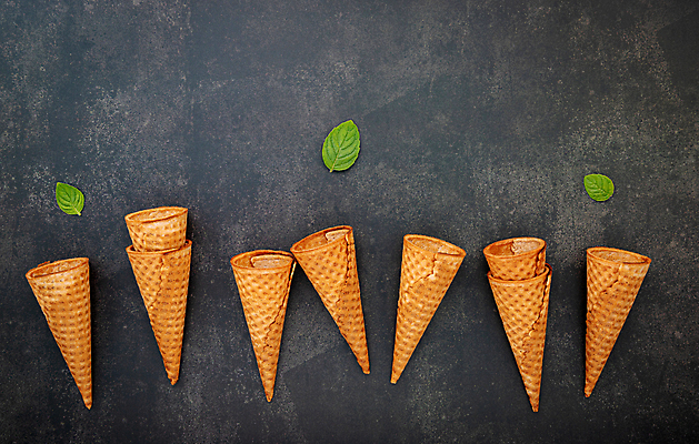 포토 JPG 해외이미지 잎 사람없음 아이스크림콘 카피스페이스 해외포토 식물 공백 콘 파일형식 이미지허브