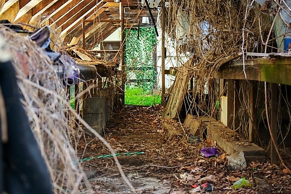 포토 JPG 해외이미지 전신 산업 비즈니스 창문 자연 유리 날씨 주택 실내 사람없음 가로 초록색 컬러풀 금속 손상 에너지 탐험 수확 황폐 신비 버리기 부식 폐허 원예 복고 구식 깨짐 밭일 옛날 온실 해외포토 컬러 컨셉 농업 모션 재질 취미 내부 건물 생태계 파일형식 이미지허브