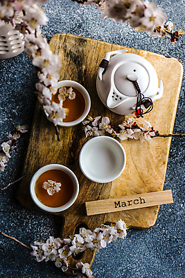 포토 JPG 해외이미지 회색배경 사람없음 블록 소프트포커스 찻잔 찻주전자 녹차 꽃가지 나무도마 해외포토 꽃 백그라운드 주전자 잔 도마 촬영기법 목재 차_음료 회색 나뭇가지 파일형식 이미지허브