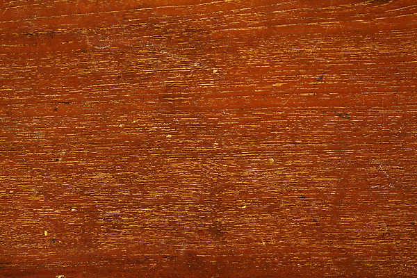 포토 JPG 해외이미지 디자인 벽 가구 백그라운드 패턴 자연 벽지 표면 추상 바닥 프레임 미술 사람없음 내부 목재 장식 빛 갈색 우주 공백 수확 골동품 소나무 판넬 황금 미술관 낟알 묘사 그림 박물관 질감 복고 고립 수목 옛날 해외포토 나무 컬러 생활용품 무늬 농업 재료 문화예술 생태계 파일형식 이미지허브