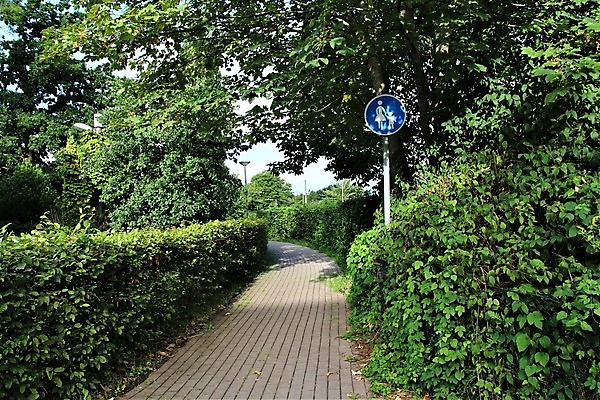 포토 JPG 해외이미지 나무 계절 잎 사람없음 야외 여름 울타리 회색 바위 도시 보행자 왼쪽 도로표지판 떠남 화창 해외포토 식물 도로 컬러 모션 날씨 담장 돌_바위 표지판 방향 파일형식 이미지허브