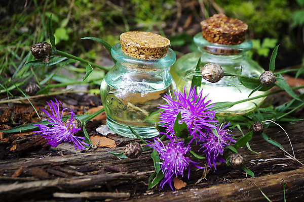 포토 JPG 해외이미지 웰빙 꽃 백그라운드 자연 유리 휴식 건강 사람없음 약 스파 시골 약초 숲 허브 향수 아로마 아로마테라피 내추럴 돌봄 에센스 위생관리 추출 투입 해외포토 식물 컨셉 의학 모션 재질 관리 화장품 풀_식물 생태계 테라피 파일형식 이미지허브