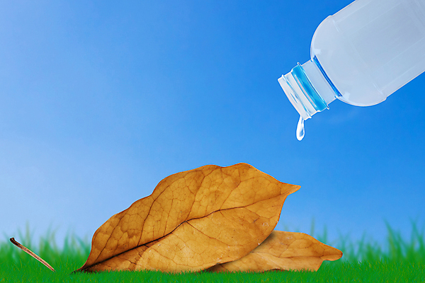 포토 JPG 해외이미지 지구 백그라운드 컨셉 잎 자연 추상 건조 사람없음 초록색 물 파란색 세계 글로벌 환경 행성 절약 떨어짐 보호 플라스틱 에코 생태계 내추럴 돌봄 생태학 위기 해외포토 자연요소 식물 교육 컬러 무늬 모션 재질 우주 파일형식 이미지허브