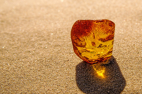 포토 JPG 해외이미지 자연 사람없음 빛 주황색 투명 보석 화석 앰버 해외포토 컬러 광석 생태계 파일형식 이미지허브