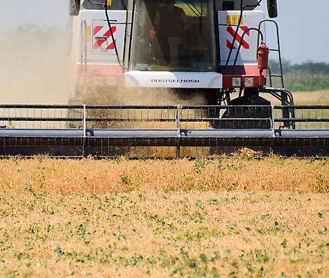 포토 JPG 해외이미지 식물 산업 음식 빵 밭 농업 자연 하늘 건강 씨앗 풍경 사람없음 파란색 농작물 농장 농경지 기계 흙 수확 가을 시골 업무 황금 농부 결합 낟알 시리얼 생태계 원예 완두콩 귀 트랙터 꼬투리 밭일 호밀 해외포토 직업 계절 컬러 콩 곡류 취미 신체부위 작업 농기계 특수차량 파일형식 이미지허브