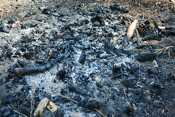 포토 JPG 해외이미지 모래 백그라운드 패턴 자연 표면 추상 불꽃 폭죽 따뜻함 사람없음 야외 목재 빛 쌓기 환경 검은색 회색 에너지 흰색 뜨거움 그릴 숲 위험 모닥불 바비큐 묘사 벽난로 질감 화석 숯 내추럴 그런지 석탄 썩음 재 화상 해외포토 나무 음식 컬러 컨셉 무늬 재료 모션 주방용품 불 상처 생태계 파일형식 이미지허브