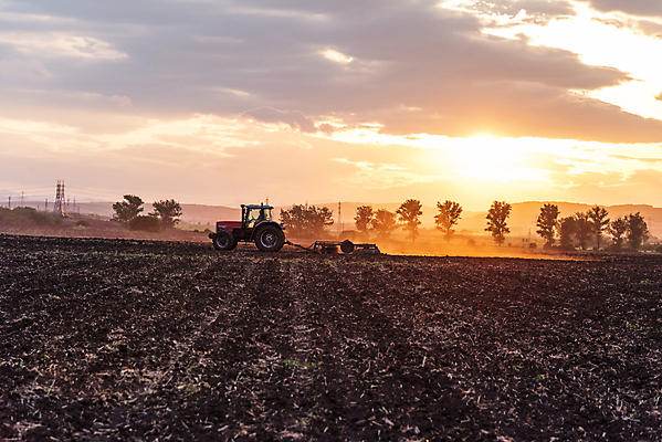 포토 JPG 해외이미지 식물 구름 계절 산업 밭 농업 자연 하늘 씨앗 풍경 사람없음 야외 여름 농작물 농장 농경지 일출 기계 일몰 흙 장비 수확 가을 시골 업무 농부 땅 만취 준비 먼지 트랙터 밭일 쟁기 파종 해외포토 자연요소 직업 노을 농사 작업 농기계 생태계 특수차량 술취함 파일형식 이미지허브