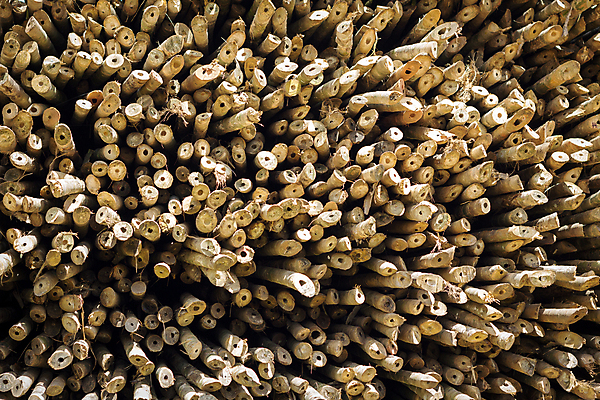 포토 JPG 해외이미지 모양 나무 디자인 산업 선 조각 백그라운드 부분 자연 주택 사람없음 목재 장식 갈색 어둠 반지 소나무 원형 구멍 거친 행운 역사 널 작음 자르기 대나무 묘사 유기농 질감 통나무 목공예 나무껍질 잡동사니 고물 방법 수목 노화 해외포토 도형 식물 웰빙 컬러 컨셉 재료 장신구 모션 건물 껍질 크기 공예 생태계 파일형식 이미지허브