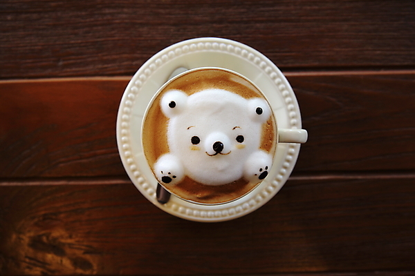 포토 JPG 해외이미지 커피 곰 실내 사람없음 하이앵글 귀여움 라떼 라떼아트 해외포토 동물 음료 뷰포인트 컨셉 포유류 내부 그림 파일형식 이미지허브