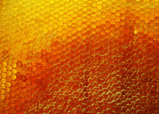 포토 JPG 해외이미지 음식 곤충 세포 건강 사탕 사람없음 약 노란색 흐름 머리빗 액체 황금 달콤 맛 떨어짐 꿀벌 날것 꽃가루 부드러움 육각형 꿀 고무 벌집 내추럴 밀랍 양봉 양봉장 어려움 왁스 폴리곤 정확 해외포토 도형 동물 컬러 컨셉 의학 디저트 미용용품 감각 벌_곤충 가루 파일형식 이미지허브