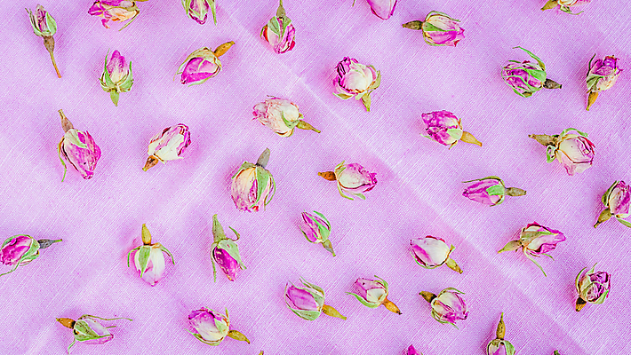 포토 JPG 해외이미지 디자인 배너 꽃 종이 분홍색 결혼 백그라운드 꽃무늬 패턴 일러스트 표면 추상 휴가 휴식 부활절 기념 발렌타인데이 사랑 미술 사람없음 그래픽 장식 빨간색 초록색 컬러풀 장미 파티 봄 수확 하트 생일 질감 복고 아로마 부드러움 내추럴 그런지 옛날 해외포토 모양 식물 계절 기념일 감정 컬러 컨셉 무늬 농업 데이이벤트 문화예술 이벤트 감각 파일형식 이미지허브