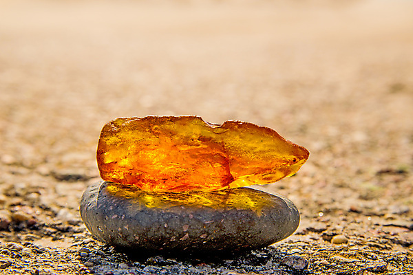 포토 JPG 해외이미지 자연 사람없음 빛 주황색 투명 보석 화석 앰버 해외포토 컬러 광석 생태계 파일형식 이미지허브