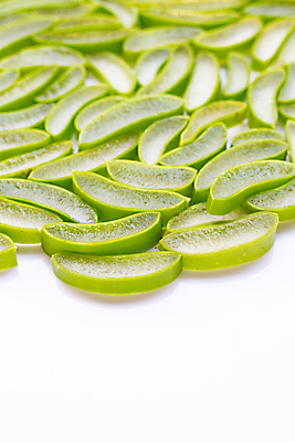 포토 JPG 해외이미지 스튜디오촬영 단면 실내 사람없음 흰배경 알로에 해외포토 식물 백그라운드 내부 흰색 파일형식 이미지허브