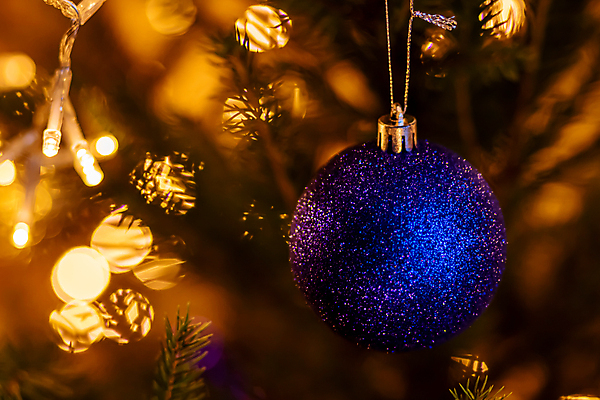 포토 JPG 해외이미지 나무 디자인 계절 행복 백그라운드 크리스마스 겨울 공 유리 휴가 전등 새로움 새해 기념 사람없음 장식 빨간색 초록색 파란색 빛 크리스마스트리 축제 장식볼 흰색 나뭇가지 축하 소나무 황금 12월 연도 오브젝트 보케 전나무 여의주 해외포토 식물 기념일 감정 컬러 컨셉 재질 조명 날짜 파일형식 이미지허브