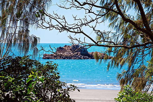 포토 JPG 해외이미지 나무 모래 파도 바다 여행 백그라운드 잎 자연 하늘 휴가 불꽃 프레임 풍경 사람없음 야외 초록색 물 여름 파란색 맑음 나뭇가지 막대기 호주 그림 암초 전나무 내추럴 수평선 전경 해외포토 자연요소 식물 계절 컬러 불 날씨 오세아니아 생태계 파일형식 탑뷰 이미지허브