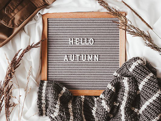 포토 JPG 해외이미지 식물 영어 옷 액자 실내 액자틀 사람없음 장식 하이앵글 가을 천 니트 해외포토 문자 계절 뷰포인트 상의 틀 내부 직물 파일형식 이미지허브