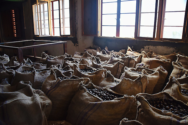 포토 JPG 해외이미지 디자인 음식 섬 백그라운드 패턴 가방 재료 공장 추상 잉크 사람없음 농작물 화물 시골 신선 삼 실 상품 주식 삼베 가득함 향신료 창고 보따리 질감 아로마 자루 패키지 섬유 원시시대 덩어리 상상력 서인도제도 해외포토 잡화 무늬 농업 채소 공업 금융 운송업 직물 역사 향미료 파일형식 천_직물 이미지허브