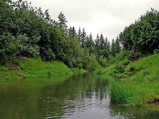 포토 JPG 해외이미지 구름 공원 호수 섬 여행 자연 하늘 산 스웨덴 노르웨이 핀란드 풍경 사람없음 야외 초록색 물 여름 파란색 강 봄 숲 북극 러시아 북쪽 서쪽 순록 시베리아 전국 해외포토 자연요소 계절 공공시설 유럽 컬러 북유럽 극지방 방향 생태계 파일형식 이미지허브