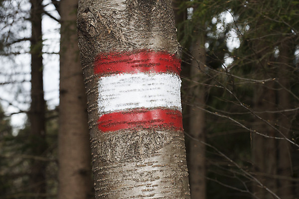 포토 JPG 해외이미지 스포츠 무늬 자연 휴가 산 건강 안전 취미 사람없음 야외 여름 등산 손상 긴급 보호 상처 위험 사건 위협 예방 보안 알프스 암초 오리엔테이션 해외포토 계절 유럽 컨셉 트래킹 생태계 파일형식 이미지허브