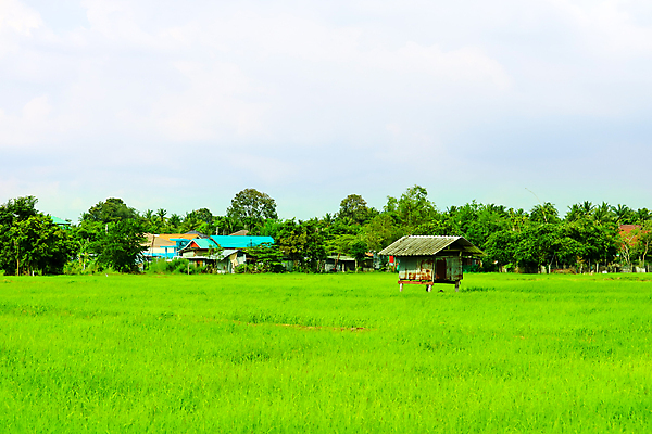 포토 JPG 해외이미지 나무 디자인 영어 벽 여행 겨울 밭 건축양식 자연 하늘 휴가 영국 주택 풍경 사람없음 건물 목재 초록색 농가 농장 유행 꿈 수확 골동품 가을 바위 시골 황무지 버리기 시골집 고립 다트무어 옛날 폭풍우 스코틀랜드 해외포토 식물 문자 건축물 계절 건축 유럽 컬러 농업 재료 모션 돌_바위 비_날씨 자연재해 생태계 파일형식 이미지허브