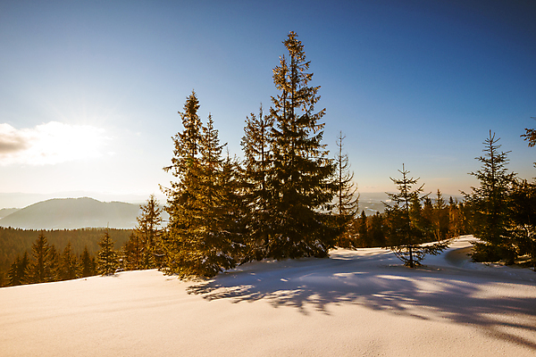 포토 JPG 해외이미지 나무 구름 유럽 여행 백그라운드 겨울 자연 하늘 스키 산 파노라마 풍경 사람없음 야외 햇빛 태양 냉동 얼음 일몰 트래킹 하이킹 추위 성장 흰색 소나무 숲 언덕 서리 북쪽 침엽수 슬로프 산악지대 웅장함 절정 폭설 눈내림 가문비나무 해외포토 자연요소 식물 계절 나라 컬러 레저 겨울스포츠 스키장 눈_날씨 촬영기법 노을 자연재해 방향 생태계 파일형식 이미지허브
