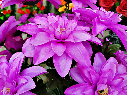 포토 JPG 해외이미지 식물 모델 공원 꽃잎 꽃 꽃다발 백그라운드 꽃무늬 패턴 사람없음 장식 컬러풀 정원 벚꽃 신선 개화 닫기 플라스틱 다발 배열 거짓 뒤뜰 인공 해외포토 공공시설 컬러 무늬 모션 재질 파일형식 이미지허브