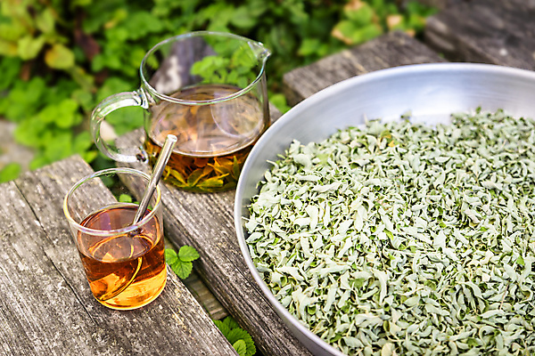 포토 JPG 해외이미지 음료 음식 백그라운드 잎 자연 유리 휴식 건조 건강 사람없음 야외 목재 컵 가로 초록색 약 건강관리 정원 약재 신선 뜨거움 차 약초 혼합 허브 준비 흰배경 상쾌 유기농 내추럴 따뜻한음료 자연요법 정물화 투입 카피스페이스 해외포토 나무 식물 식기 웰빙 감정 컬러 컨셉 재료 의학 모션 재질 관리 공백 흰색 풀_식물 그림 생태계 파일형식 이미지허브