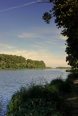 포토 JPG 해외이미지 나무 구름 계절 자연 하늘 풍경 사람없음 야외 목재 초록색 물 여름 파란색 강 반사 환경 맑음 숲 땅 장면 해외포토 자연요소 식물 컬러 재료 날씨 생태계 파일형식 이미지허브