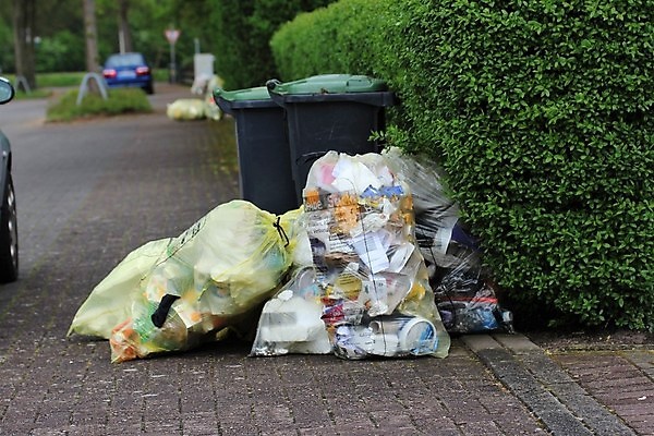 포토 JPG 해외이미지 나무 도로 자동차 거리 사람없음 초록색 울타리 노란색 검은색 쓰레기 폐기물 해외포토 식물 길 육상교통 컬러 교통시설 담장 파일형식 이미지허브