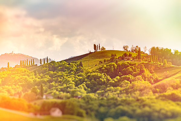 포토 JPG 해외이미지 식물 구름 도로 여행 밭 농업 과일 자국 자연 산 거리 파노라마 풍경 사람없음 야외 초록색 여름 평화 와인 정원 수확 가을 시골 오스트리아 언덕 포도나무 남쪽 10월 슬로베니아 양조장 해외포토 자연요소 계절 유럽 산업 길 컬러 컨셉 교통시설 주류 촬영기법 날짜 과일나무 방향 생태계 파일형식 이미지허브
