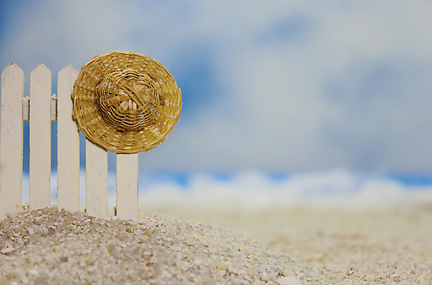 포토 JPG 해외이미지 나무 모래 바다 여행 백그라운드 컨셉 자연 하늘 휴가 조개 휴식 손바닥 해변 사람없음 물 파란색 울타리 야자수 태양 우주 봄 수확 껍질 서핑 사인 복고 밀짚 해외포토 자연요소 식물 손 계절 컬러 농업 어패류 담장 수상스포츠 짚 생태계 파일형식 이미지허브