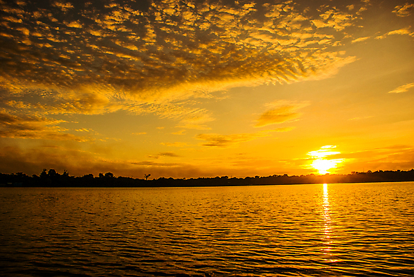 포토 JPG 해외이미지 나무 식물 호수 백그라운드 오렌지 교통시설 자연 하늘 주택 실내 안테나 앉기 풍경 사람없음 목재 초록색 물 파란색 강 반사 노란색 여행객 일출 맑음 미국 일몰 보트 남아메리카 모서리 숲 열대우림 날것 브라질 남쪽 대칭 아마존 옛날 전경 해외포토 자연요소 컬러 교통 북아메리카 배_교통 과일 재료 통신 모션 날씨 아메리카 사람 내부 건물 노을 방향 시설 생태계 파일형식 탑뷰 이미지허브