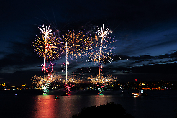 포토 JPG 해외이미지 기념일 하늘 불 휴가 기념 이스탄불 폭죽 이벤트 사람없음 빛 컬러풀 축하 야간 폭발 칠면조 파열 보스포루스 해외포토 자연요소 컬러 컨셉 조류 파일형식 튀르키예 이미지허브