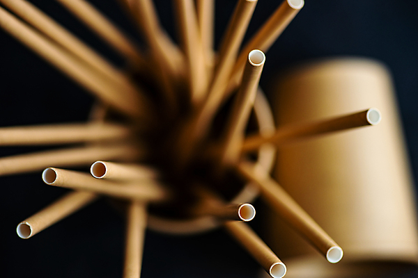 포토 JPG 해외이미지 종이 음료 음식 백그라운드 컨셉 유리 주택 건강 사람없음 컵 식사 저녁식사 재활용 상품 먹기 대나무 에코 유기농 생태계 밀짚 유지 낭비 무료 카피스페이스 해외포토 나무 식기 웰빙 모션 재질 건물 환경 공백 짚 친환경 파일형식 이미지허브