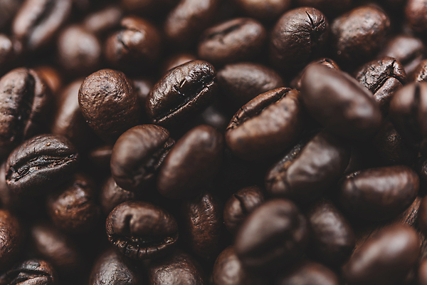 포토 JPG 해외이미지 배너 커피 음료 음식 백그라운드 패턴 농업 오렌지 재료 벽지 콩 씨앗 사람없음 빛 농작물 갈색 우주 검은색 어둠 에너지 신선 그룹 플랫 맛 정상 낟알 굽기 질감 향기 아로마 위치 향 에스프레소 흙더미 내추럴 카페인 해외포토 식물 산업 컬러 컨셉 무늬 과일 곡류 흙 구이 냄새 파일형식 더미 이미지허브