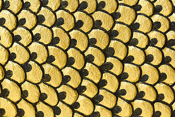 포토 JPG 해외이미지 디자인 벽 파도 백그라운드 패턴 벽지 추상 창조 미술 사람없음 장식 빛 노란색 우주 황금 고급 우아함 질감 복고 시멘트 공상 그런지 엘리먼트 옛날 해외포토 바다 컬러 컨셉 무늬 문화예술 파일형식 이미지허브