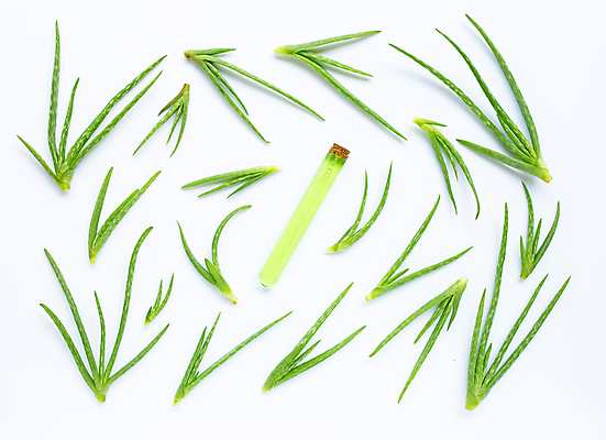 포토 JPG 해외이미지 스튜디오촬영 실내 사람없음 하이앵글 화장품 흰배경 알로에 해외포토 식물 뷰포인트 백그라운드 내부 뷰티 흰색 파일형식 이미지허브