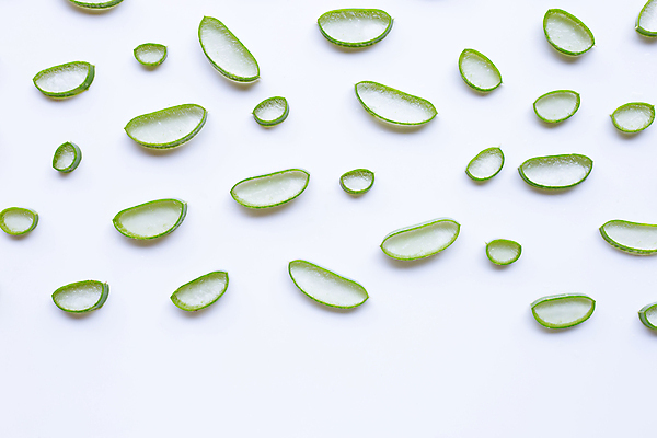 포토 JPG 해외이미지 스튜디오촬영 단면 실내 사람없음 하이앵글 흰배경 알로에 해외포토 식물 뷰포인트 백그라운드 내부 흰색 파일형식 이미지허브