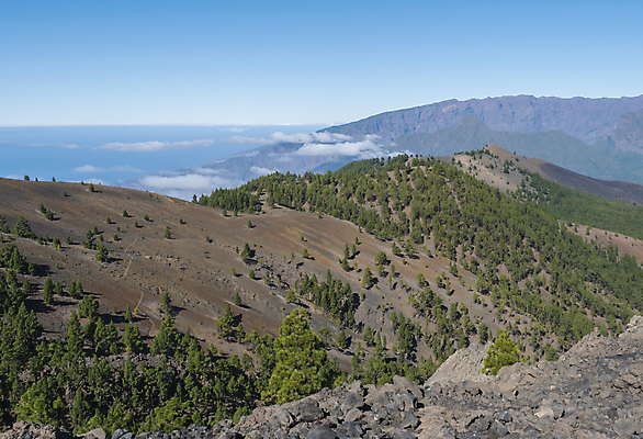 포토 JPG 해외이미지 나무 유럽 길 모래 섬 여행 백그라운드 자국 자연 하늘 산 파노라마 풍경 사람없음 빨간색 초록색 컬러풀 태양 걷기 환경 트래킹 하이킹 사막 소나무 황무지 스페인 숲 화산 용암 내추럴 로스앤젤레스 루트 해외포토 자연요소 식물 나라 컬러 모션 레저 촬영기법 미국 생태계 파일형식 이미지허브