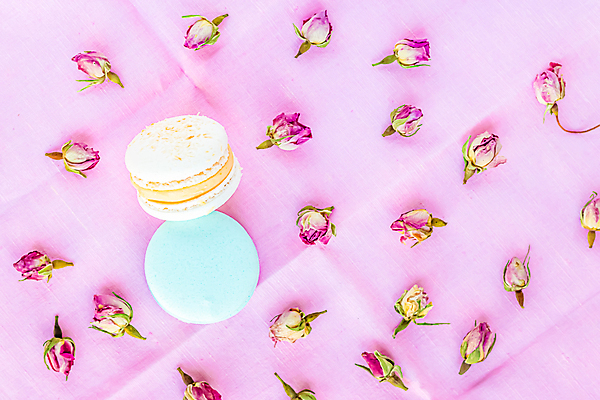 포토 JPG 해외이미지 디자인 꽃 음식 분홍색 결혼 백그라운드 컨셉 꽃무늬 휴가 디저트 부활절 발렌타인데이 선물 사랑 미술 사람없음 장식 초록색 노란색 파티 쿠키 과자 케이크 축제 봄 프랑스 벚꽃 축하 신용카드 생일 달콤 모음 마카롱 내추럴 프랑스어 고립 머랭 해외포토 식물 문자 계절 기념일 감정 유럽 컬러 무늬 데이이벤트 문화예술 이벤트 한글 금융 맛 파일형식 이미지허브