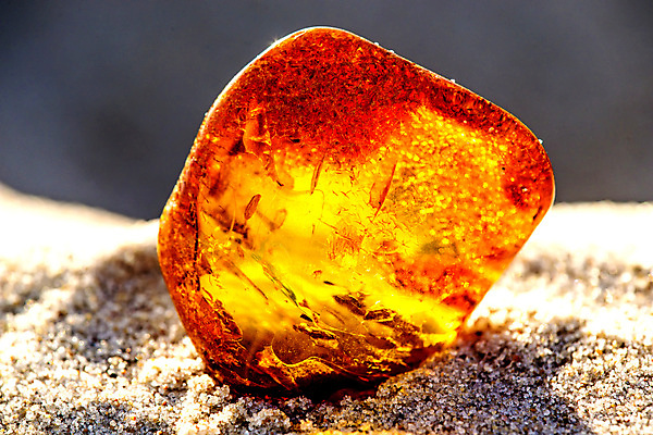 포토 JPG 해외이미지 자연 사람없음 빛 주황색 투명 보석 화석 앰버 해외포토 컬러 광석 생태계 파일형식 이미지허브