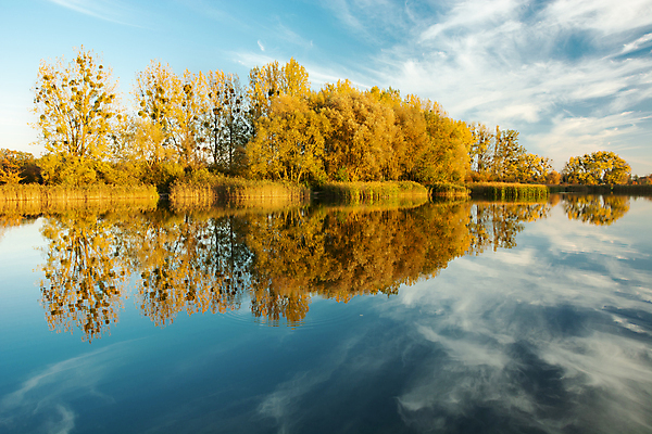 포토 JPG 해외이미지 나무 구름 계절 공원 호수 여행 백그라운드 잎 오렌지 자연 하늘 휴가 풍경 사람없음 야외 목재 가로 물 파란색 컬러풀 반사 노란색 평화 환경 맑음 침묵 가을 연못 황무지 숲 10월 해외포토 자연요소 식물 공공시설 컬러 컨셉 과일 재료 날씨 소리 날짜 생태계 파일형식 이미지허브