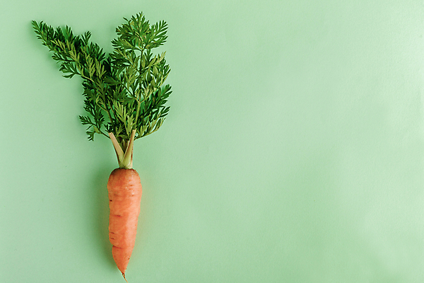 포토 JPG 해외이미지 라이프스타일 디자인 계절 음료 컨셉 잎 다이어트 채소 과일 재료 자연 유리 추상 휴가 건강 미술 사람없음 장식 초록색 파란색 컬러풀 농장 계란 당근 축하 아기 토끼 신선 다발 먹기 유기농 날것 녹색배경 비트 채식주의자 힙스터 카피스페이스 디톡스 비건 미니멀 해외포토 식물 웰빙 패션 컬러 백그라운드 무늬 농업 포유류 모션 재질 문화예술 뿌리채소 사람 생활 반려동물 알 공백 생태계 채식 파일형식 이미지허브