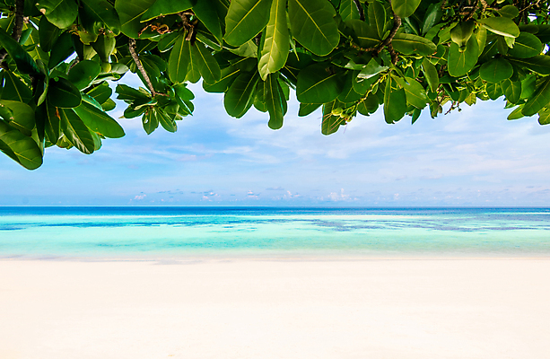 포토 JPG 해외이미지 라이프스타일 행복 모래 바다 섬 여행 백그라운드 잎 태국 자연 하늘 휴가 휴식 사람 동양인 풍경 사람없음 야외 초록색 물 여름 파란색 비키니 선글라스 태양 맑음 흰색 시원함 카약 거짓말 고립 파라다이스 해외포토 자연요소 식물 계절 수영복 감정 아시아 안경 컬러 컨셉 날씨 인종 생활 수상스포츠 생태계 파일형식 이미지허브