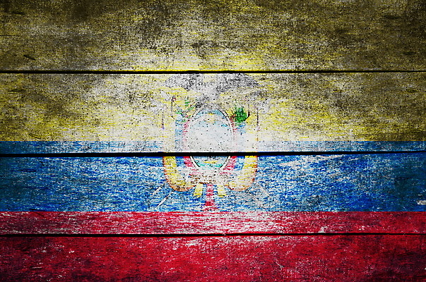 포토 JPG 해외이미지 디자인 벽 가구 백그라운드 패턴 자연 벽지 탁자 표면 추상 바닥 사람없음 목재 장식 빛 문 페인트 공백 수확 흰색 시골 깃발 거친 널 정상 낟알 심볼 책상 묘사 질감 먼지 에콰도르 애국심 그런지 수목 옛날 파케트 해외포토 나무 컬러 생활용품 무늬 농업 재료 남아메리카 생태계 파일형식 이미지허브